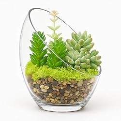 FLORALCRAFT® 15cm W x 17.5cm H Sharletta Bowl Terrarium