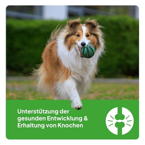 Malabone – Gelenktabletten für Hunde mit Calcium, Phosphor & Vitamin D3 – Ergänzungsfuttermittel für Knochen & Gelenke – für Hunde in jedem Alter – 90 Stück - Barf