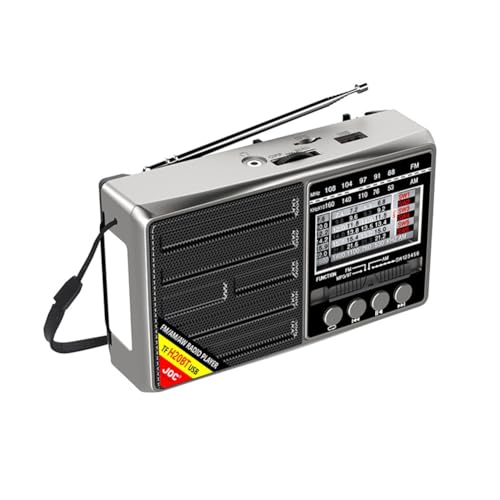 IJSDNVJNDX Radios Portátiles de Banda FM/Am/SW, Receptor de Radio, Radio Recargable, Reproductor de Música TF/USB con Pantalla LCD, Color Gris.