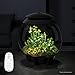 biOrb AIR 30, Automated Acrylic Terrarium for Desert or Tropical Plants, Black