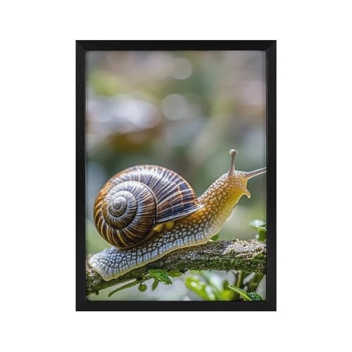 GHEPSDW Wall Art, A Photo of A Snail Wood Frame