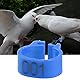 HEEPDD Vogelbeinbänder Ringe, 100 Teile/Beutel 8 MM 001-100 Nummeriert Kunststoff Vogel Bein Bänder Ringe Hen Taube Bein Geflügel Taube Küken Papagei Clip Ringe Band Markierung (Blau)