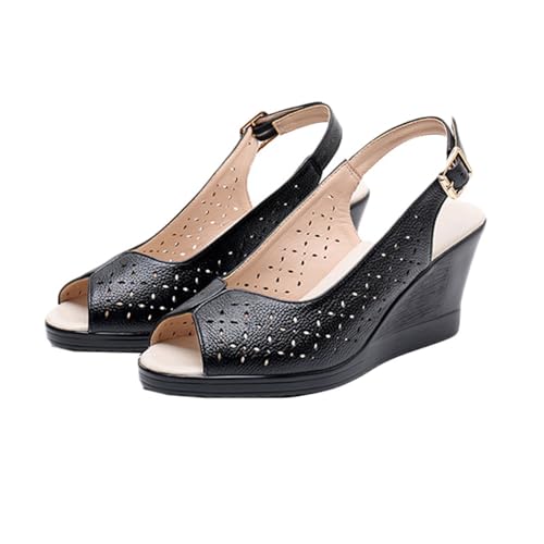 [Z_ `V]  24.0cm pvX ubN I[vgD ₷ EFbW\[  nCq[ p[eB[ C RtH[g ~ ϖՐ  RXv Vv Xgbv ɂȂ L b w ᔽ