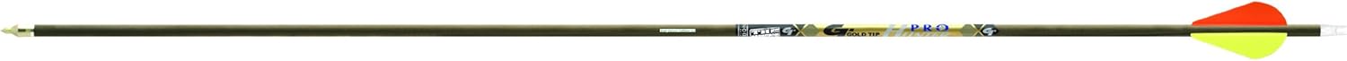 Gold Tip PRO55A4 Pro Hunter