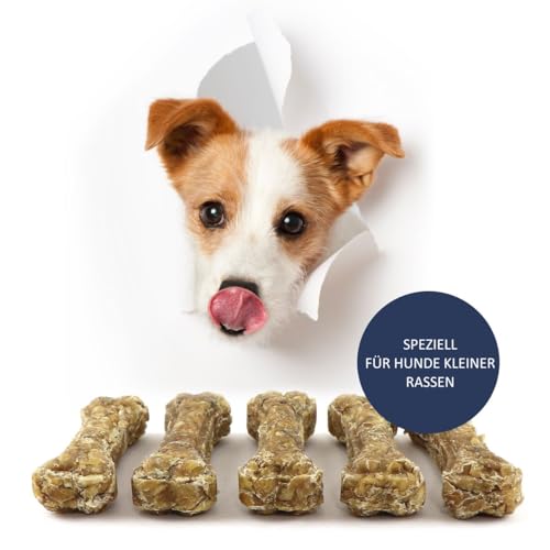 DOGBOSS 100% Natur Kauknochen speziell für kleine Hunderassen (2-10kg) in verschiedenen Geschmackssorten (5er Dental Salbei 10 cm)