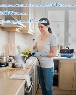 Mecmic Upgrade Nettoyeur Vapeur Portable - 2500W, 6 Niveaux de Réglage, Réservoir D'eau 1,6L, 120 °C Vapeur, Chauffage en 15s,Portable avec 10 Accessoires, Nettoyage des Canapé,Sol,Vitre,Matelas,Gris