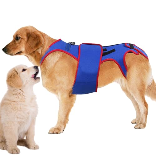 Férula de cadera para perros ideal para paseos nocturnos seguros 2
