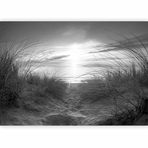 artgeist Peel and Stick Wall Mural, Decor for Living Room Beach 154x110 in