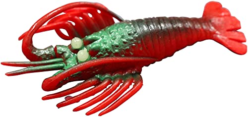 ^Rނp^a }V tFCN ɐGr  LTCY