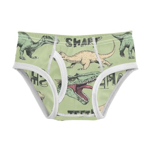 Wusikd Dinosaurs Vintage Boys' Underwear Cotton Sharp Teeth Boys Briefs Soft Toddler Underwear 2T