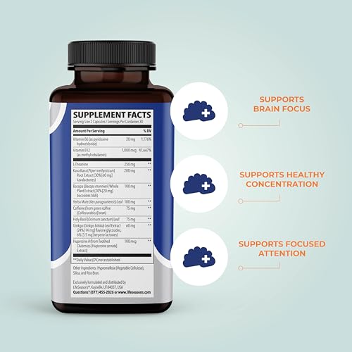 LifeSeasons - Focus-R - Concentration Support Supplement - All Ages - Enhances Mental Performance & Focus - Increases Attention Span - L-Theanine, Kava Kava, Bacopa, Vitamin B & More - (60 Capsules)