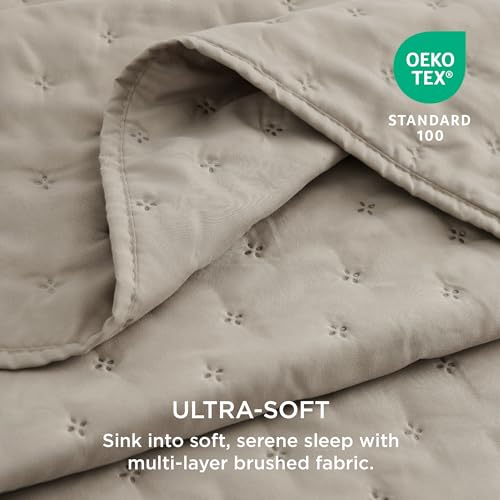 image for Bedsure Quilts Queen Size - Ultra Soft Queen Quilt Bedding Set for Mod