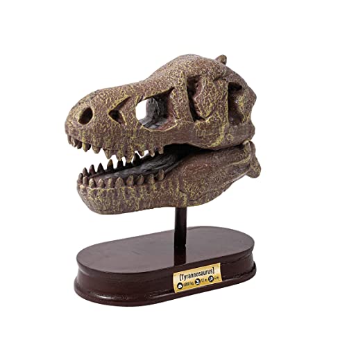 Buki - 2130 - Museum dino skull - t-rex