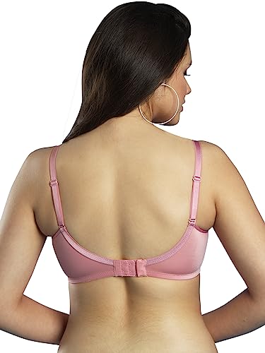 Image of Dazzle DB582 Women's Lightly Padded Super Soft Bra