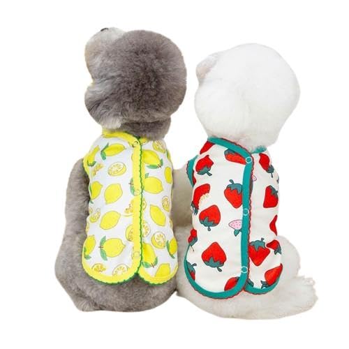 wJ pxXg ^Ngbv / ₷ іh   ybg j̎q ̎q  _炩 g CX^f m ߑ v[g  xXg