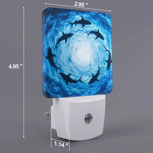 Image of LED Night Light,Form Circle Floating Sharks LED Night Light Plug into Wall with Dusk to Dawn Light Sensor White Energy Efficient Nightlight for Bedroom Bathroom Hallway Living Room Kitchen