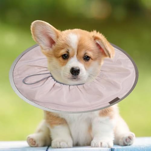 Cono de gato suave cómodo collar isabelino para mascotas pequeñas 3