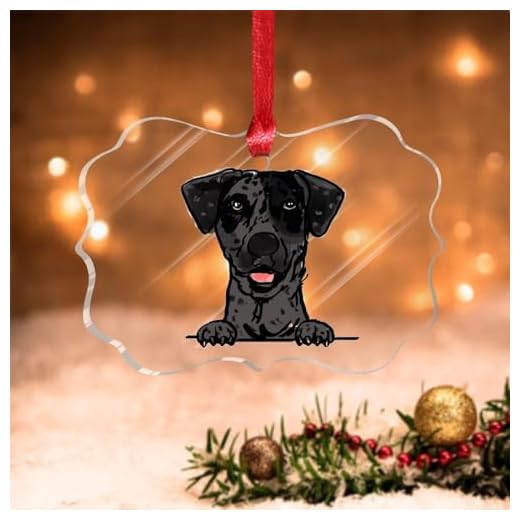 Swavecat Treeing Tennessee Brindle Ornament Christmas Decorations for Tree Watercolor Peeking Dog Mom Pet Lover Christmas Decor Acrylic Ornaments Puppy Dog Animal Christmas Tree Hanging Ornament