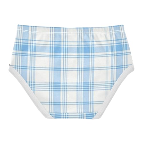 Light Blue Plaid Girls' Underwear Moisture Wicking Comfort Underwear for Girls in Sizes 2T,3T, 4T, 5T, 6Y and 8Y2