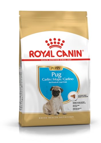 ROYAL CANIN Pug Puppy | 1,5 kg | Trockenfutter für...
