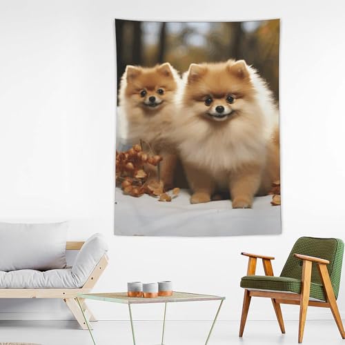 Tapisserie murale Poméranie mignonne BTCOWZRV pour décoration de chambre