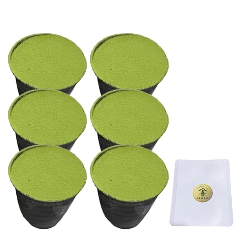 Morita Seicha 神ティラミス 抹茶6個セット [直前ふりかけ!追い抹茶付き]