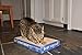 Flat Cat Scratcher Lounger with Two Reversible Double Wide Corrugated Cardboard Surfaces