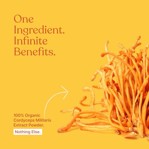 Image of Cordyceps Mushroom Extract 25g | Natural Energy & Stamina Booster | Supports Immunity, Respiratory Health & Endurance | 100% Organic Cordyceps Militaris Powder Supplement - 25g