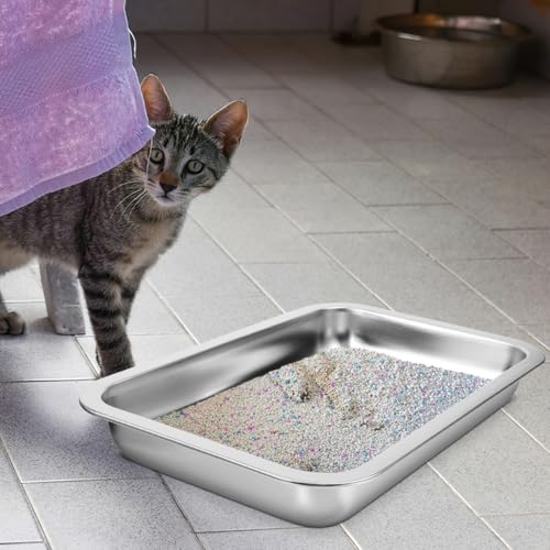 Arenero de acero inoxidable para gatos, tamaño pequeño miniatura 6