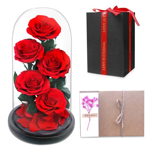 Heyolo Forever Preserved Rose, Handcrafted Eternal Rose in Glass Dome, Beauty and The Beast Rose, Best Expression of Love for Women, Mother's Day, Valentines Day, Christmas, Birthday, Anniversary