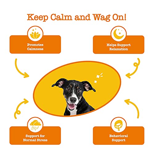 Zesty Paws Calming Dog Treats | Calming Treats for Dogs | Supports Relaxation, Helps Stress & Separation Anxiety | Ashwagandha, Green Tea & L-Tryptophan (90 Count, Turkey (US)) - Image 3