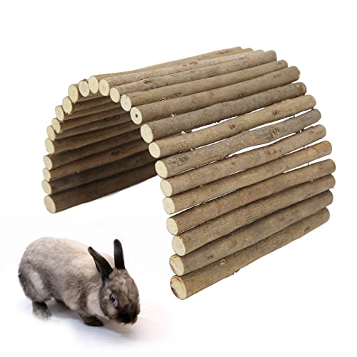 Pont de hamster en bois rampe bendy pour cochon d'Inde