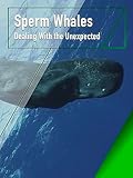 Sperm Whales - Dealing With the Unexpected