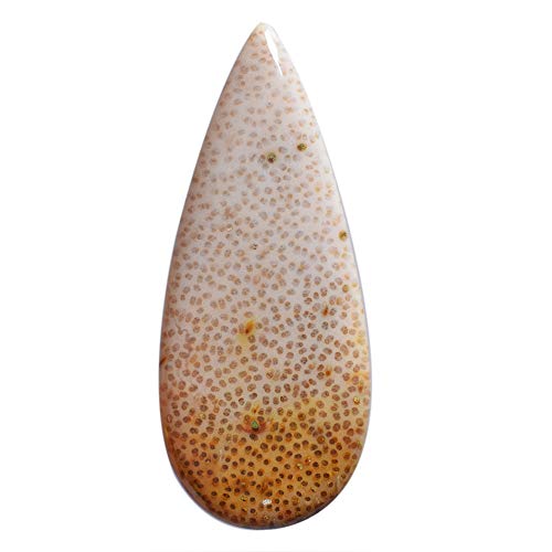Pendentif en bois de palmier pour la méditation et la création de bijoux Reiki