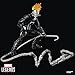Marvel Legends Series Ghost Rider (Robbie Reyes), All-New Ghost Rider and Avengers Comics Collectible 6-Inch Scale Action