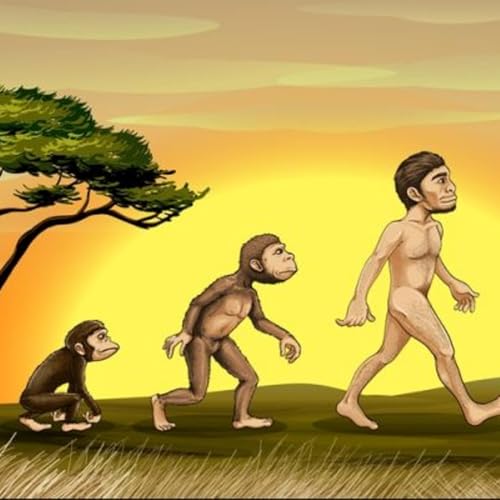 Reflexiones sobre la evoluci&oacute;n humana