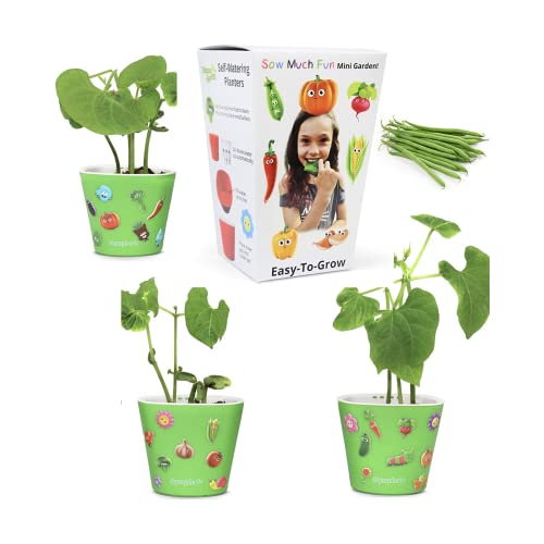 Window Garden Bean Sow Much Fun Seed Starting, Vegetable Planting And Growing Kit For Kids, 3 Self Watering Planters, Soil, Seeds And Puffy Stickers. No Mess, Easy, Works Great! #TOP23