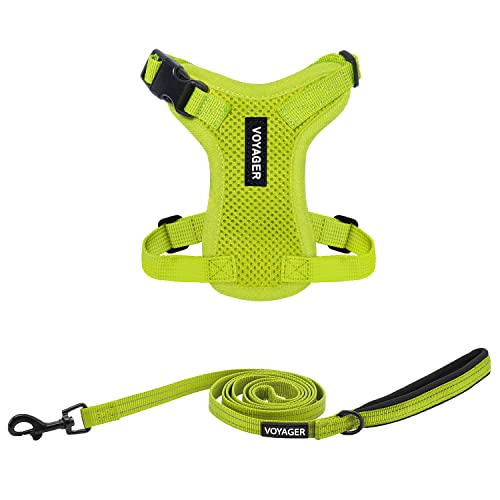 Image of Best Pet Supplies Voyager Step-in Lock Pet Harness w Reflective Pet Leash Combo Set with Neoprene Handle 5ft - Supports Small, Medium and Large Breed Puppies /Cats - Lime Green Set, XXS