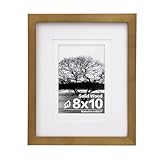 Egofine 8x10 Picture Frame Made of Solid Wood with Plexiglass, Display Pictures 4x6/5x7 with Mat or 8x10 without Mat, for Table Top and Wall Mounting Photo Frame, Light Brown