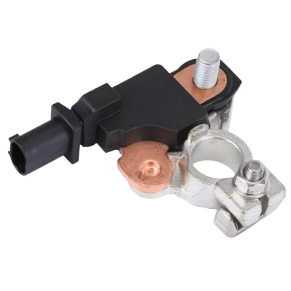 Car Terminal Clamp Clips DS7T10C652AC Compatible with Ford F150 2015-2017 Fusion 2013-2018 Lincoln MKZ 2013-2018