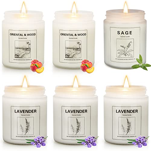 Candle Light Kerzen Die 16 besten Produkte im Vergleich Produktratgeber