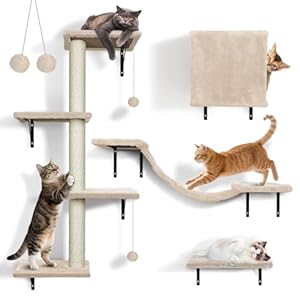 Zvonema Kletterwand für Katzen-10-teilig Katzen Kletterwand Set,Große Hängebrücke,Kratzsäulen mit Sisal,Ruhe und Spielwandregal mit Spurenkugel,Katzenmöbel für den Innenbereich bis 10 kg