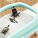 Leefasy Turtle Tank Reptile Tank with Handle Prevent from Escaping Resting Turtle Aquarium Turtles Habitat for Frog Turtles Tortoise, Green