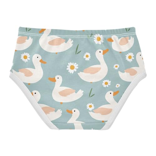 Wusikd Ducks Cloud Girls' Underwear Cotton Daisy Girls Briefs Soft Toddler Underwear 2T2