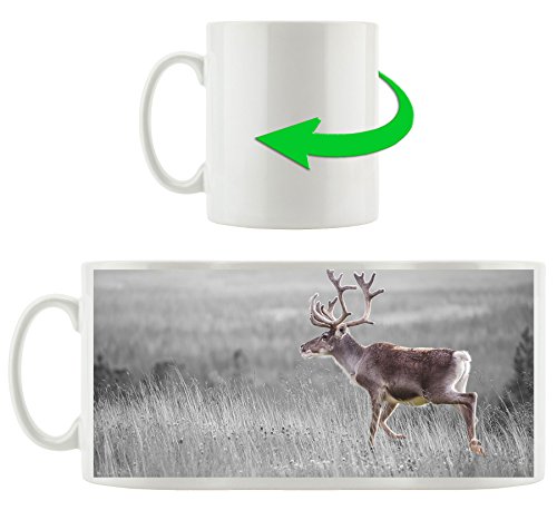 Rennes en Norvège B & W détails, Motif tasse en blanc 300ml céramique, Grande idée de cadeau pour toute occasion. Votre nouvelle tasse préférée pour le café, le thé et des boissons chaudes Cover