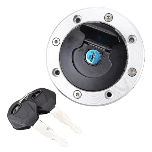 L[V_[ oCN ɓKXYL ɓKDL1000 ɓKDL650 V-Xg 2004-2011 2010 COjbVXCb` RKX^NLbvJo[ V[gbN I[goC L[V_[(Cover)