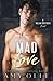 Mad Love (A Nolan Brothers Novel)