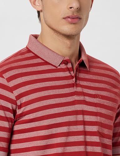 Image of Peter England Men's Cotton-Polyester Blend Striped Polo T-Shirt | Casual Wear | Durable & Trendy
