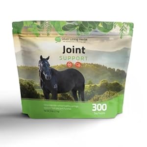 Silver Lining Herbs 18 Joint Support for Horses – Natural Support of Normal Synovial Fluid Production, Cartilage & Connective Tissue for Healthy Joints and HIPS – Herbal Horse Care – 5 lb Bucket