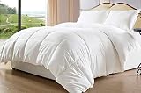 CONFORT HOME M.T. Relleno (Cama 105 (180 x 220 cm)) NÓRDICO Fibra Hueca* 400 g/m2 Tacto PLUMÓN * para Cama hasta 200 CM Largo* Marca ESPAÑA 105